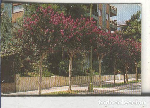 Coleccionismo deportivo: Cromos: Arbres de Barcelona numero 48.A: Arbre de Jupiter - Varios