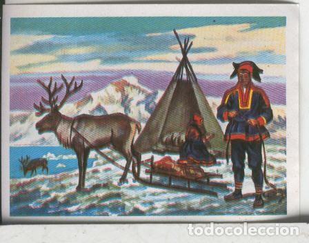 Coleccionismo deportivo: Cromos: El Mas y el Menos numero 141: La ciudad mas meridional de nuestro planeta - Varios