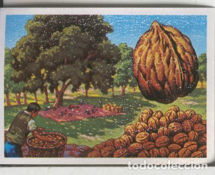 Sammelleidenschaft Sport: Cromos: El Mas y el Menos numero 020: El nogal mas productivo - Varios