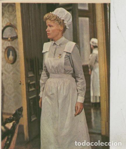 Collezionismo sportivo: Cromos: Pollyanna numero 201 - Varios