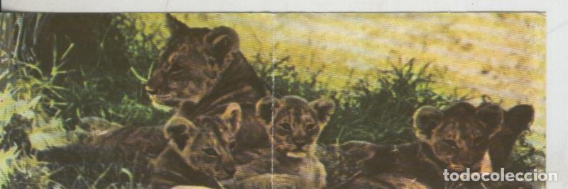 Collectionnisme sportif: Cromos: La Naturaleza y sus maravillas numero 194/195 - Varios
