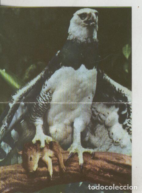 Collectionnisme sportif: Cromos: La Naturaleza y sus maravillas numero 077/078 - Varios