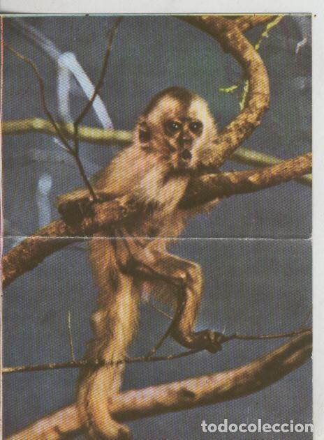 Collectionnisme sportif: Cromos: La Naturaleza y sus maravillas numero 091/092 - Varios