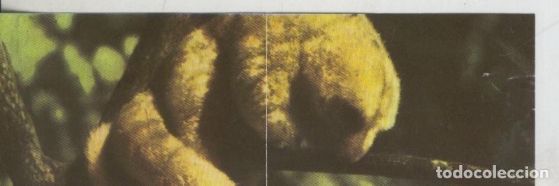 Collectionnisme sportif: Cromos: La Naturaleza y sus maravillas numero 056/057 - Varios