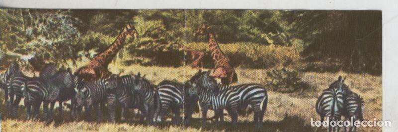 Collectionnisme sportif: Cromos: La Naturaleza y sus maravillas numero 131/132 - Varios