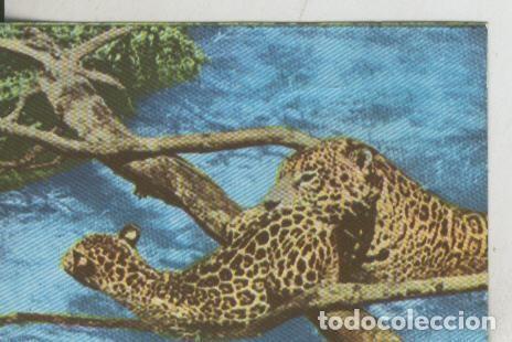 Colecionismo desportivo: Cromos: La Naturaleza y sus maravillas numero 095 - Varios