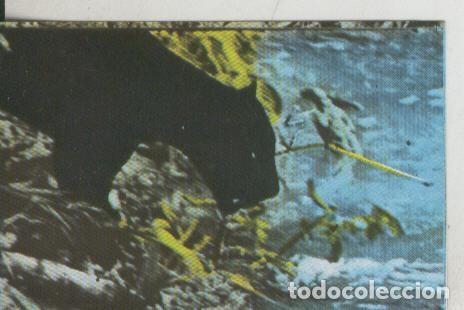 Collezionismo sportivo: Cromos: La Naturaleza y sus maravillas numero 102 - Varios