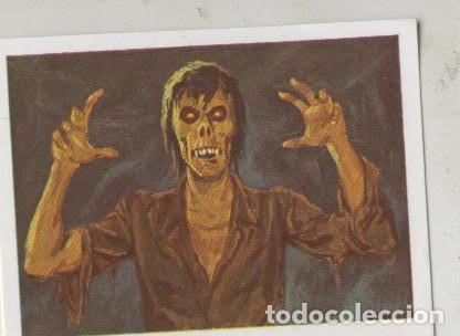 Collezionismo sportivo: Cromos: Historias de Terror numero 042: Muerto viviente - Varios