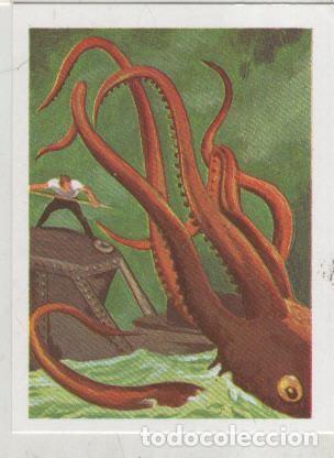 Collezionismo sportivo: Cromos: Historias de Terror numero 122: Pulpo gigante - Varios