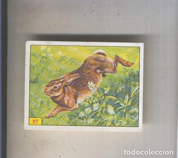 Coleccionismo deportivo: Cromo Mamiferos de Panini numero 027 - Varios