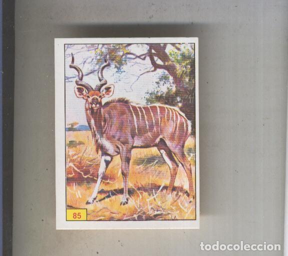 Coleccionismo deportivo: Cromo Mamiferos de Panini numero 085 - Varios