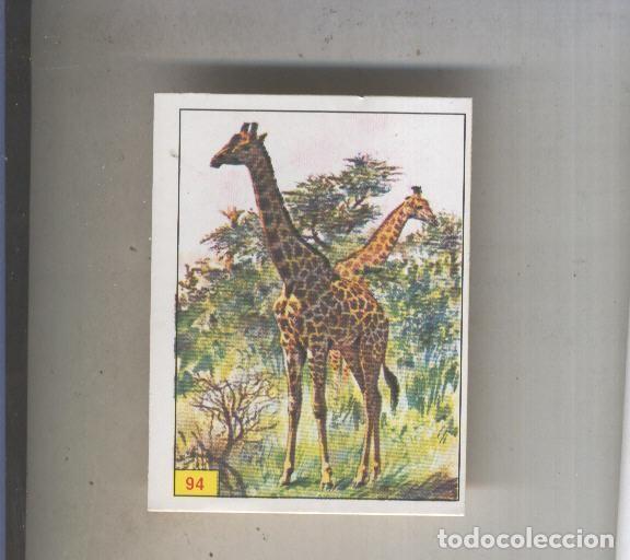 Coleccionismo deportivo: Cromo Mamiferos de Panini numero 094 - Varios