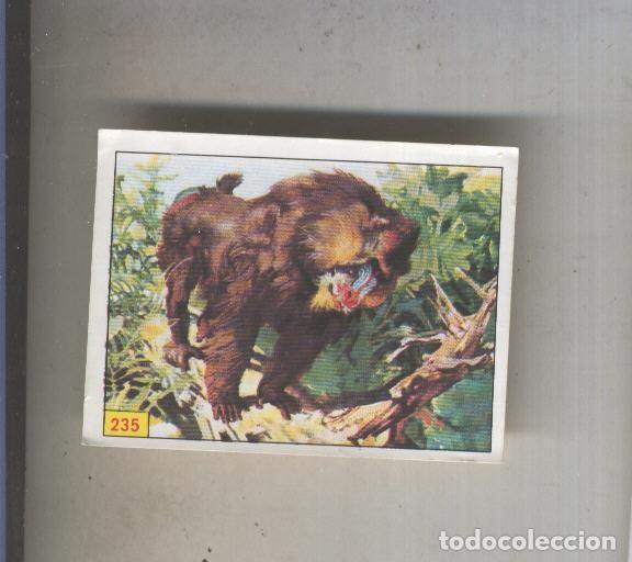 Collezionismo sportivo: Cromo Mamiferos de Panini numero 235 - Varios