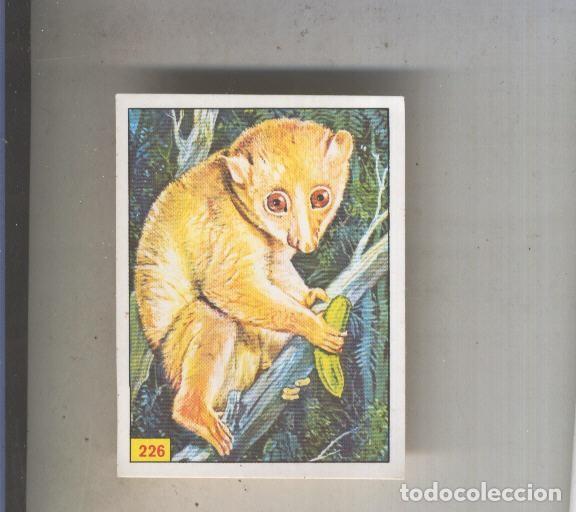 Sports collectibles: Cromo Mamiferos de Panini numero 226 - Varios