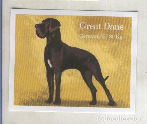 Collectionnisme sportif: Cromo: Album Imaginarium numero 09: Great Dane - varios