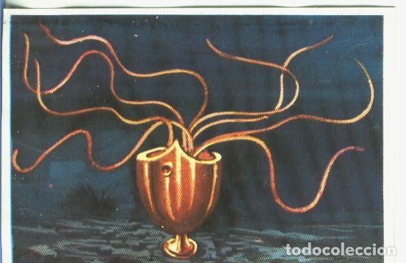 Sports collectibles: Cromos: Historia Natural numero 341 - Varios