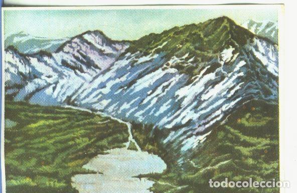 Collectionnisme sportif: Cromos: Historia Natural numero 051 - Varios