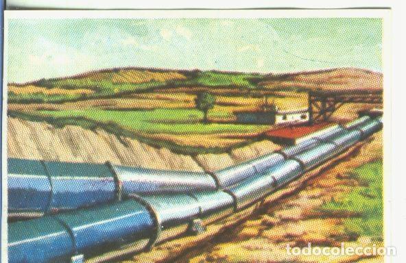 Sports collectibles: Cromos: Historia Natural numero 062 - Varios