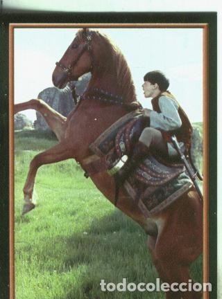 Collezionismo sportivo: Cromos: Narnia numero 108 - Varios