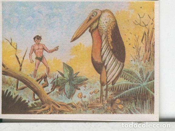 Sammelleidenschaft Sport: Cromos: Aventuras de Jorge, el Peque&ntilde;o Tarzan, autor Gigarpe numero 065 - Varios