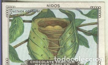 Collectionnisme sportif: Cromo: Chocolate familiar marca Kohler serie 26 numero 9 - Varios