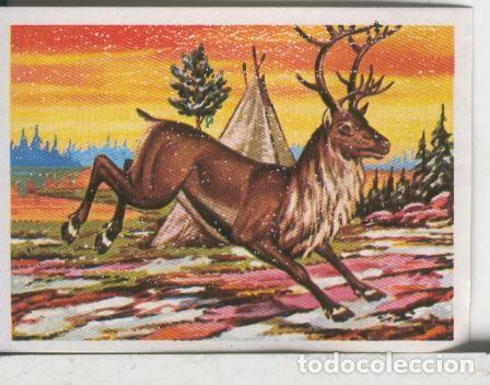 Sammelleidenschaft Sport: Cromos: El Mas y el Menos numero 061: Cuadrupedos veloces - Varios