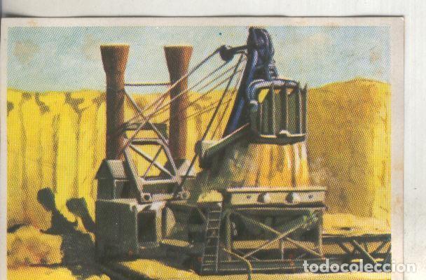 Sports collectibles: Cromos: Historia Natural numero 066 - Varios