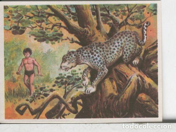 Sports collectibles: Cromos: Aventuras de Jorge, el Peque&ntilde;o Tarzan, autor Gigarpe numero 015 - Varios