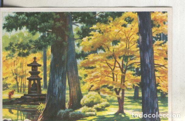 Sammelleidenschaft Sport: Cromos: Historia Natural numero 404 - Varios