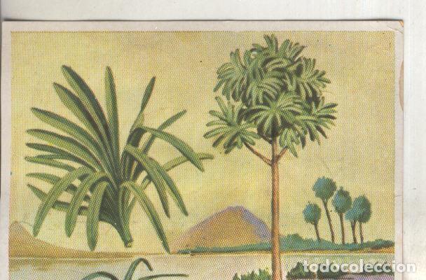 Colecionismo desportivo: Cromos: Historia Natural numero 398 - Varios