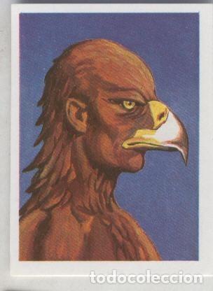 Colecionismo desportivo: Cromos: Historias de Terror numero 115: Hombre aguila - Varios