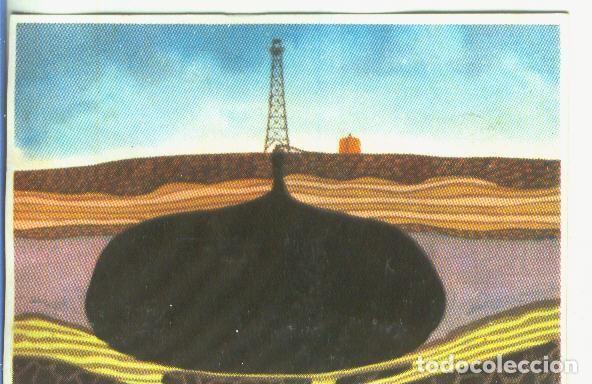 Sports collectibles: Cromos: Historia Natural numero 059 - Varios