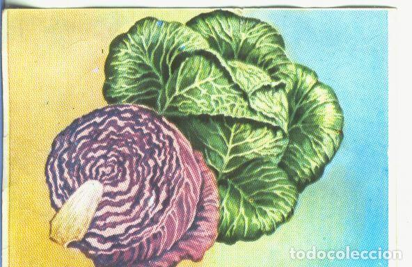 Collezionismo sportivo: Cromos: Historia Natural numero 461 - Varios