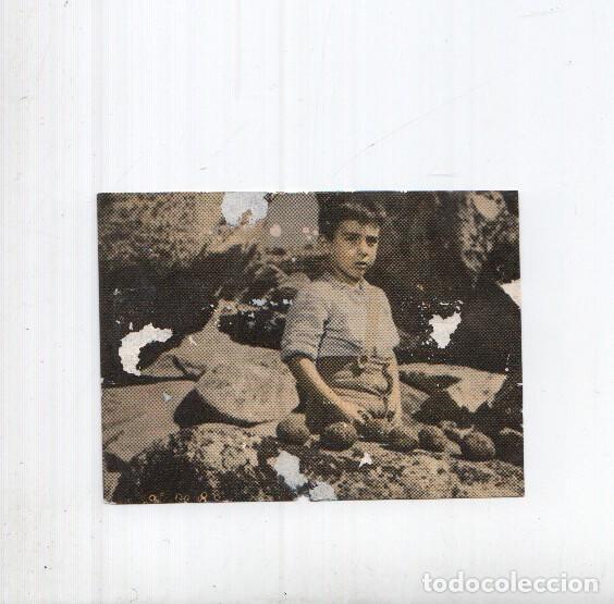 Collezionismo sportivo: Cromo: Marcelino Pan y Vino numero 095