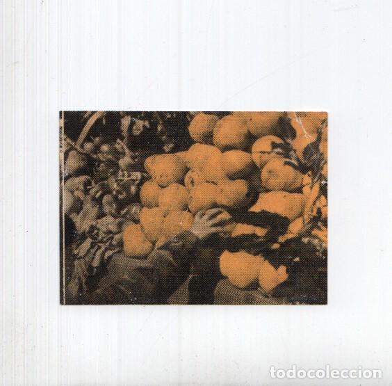 Colecionismo desportivo: Cromo: Marcelino Pan y Vino numero 123