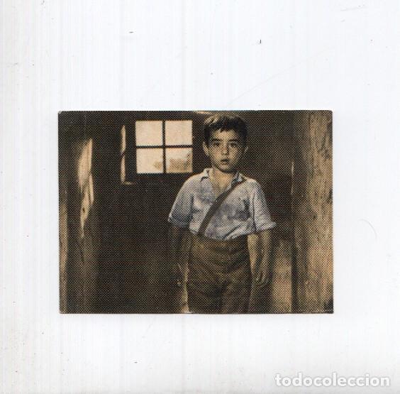 Colecionismo desportivo: Cromo: Marcelino Pan y Vino numero 147