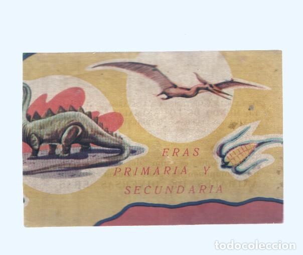 Collectionnisme sportif: Cromos: de la Selva Misteriosa a los abismos del mar: numero 006: cromo de la lamina Animales de div