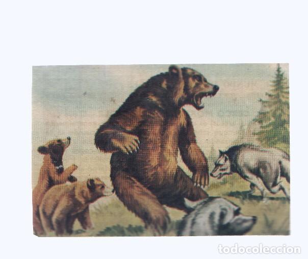 Collectionnisme sportif: Cromos: de la Selva Misteriosa a los abismos del mar: numero 035