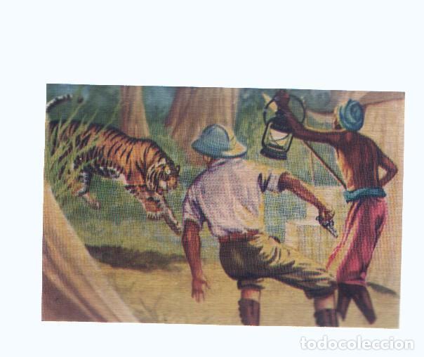 Collectionnisme sportif: Cromos: de la Selva Misteriosa a los abismos del mar: numero 071: Un terrible intruso