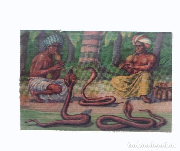 Collectionnisme sportif: Cromos: de la Selva Misteriosa a los abismos del mar: numero 091: Encantadores de serpientes