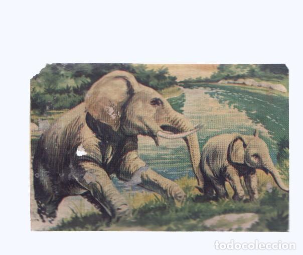 Coleccionismo deportivo: Cromos: de la Selva Misteriosa a los abismos del mar: numero 086: El ba&ntilde;o de los colosos