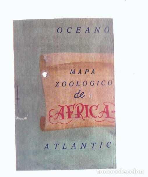 Coleccionismo deportivo: Cromos: de la Selva Misteriosa a los abismos del mar: numero 115: Mapa zoologico de Africa, parte