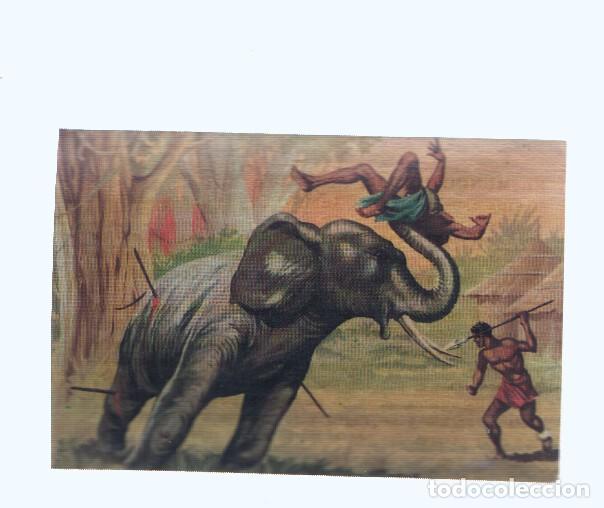 Coleccionismo deportivo: Cromos: de la Selva Misteriosa a los abismos del mar: numero 127: Momentos desesperados