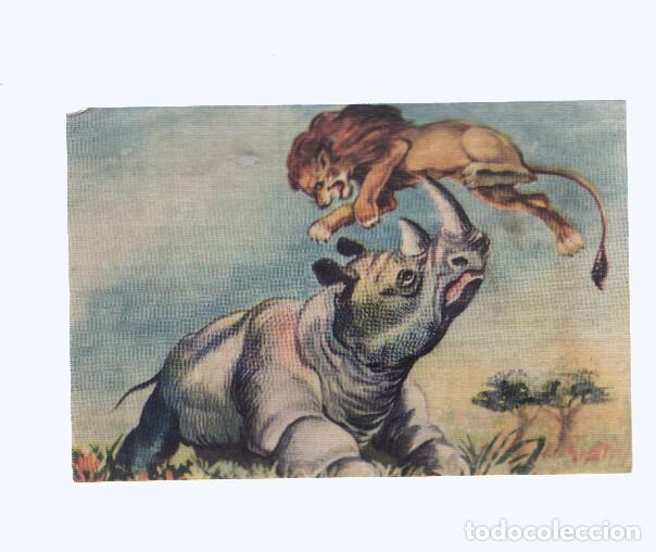 Coleccionismo deportivo: Cromos: de la Selva Misteriosa a los abismos del mar: numero 164: Sin remision