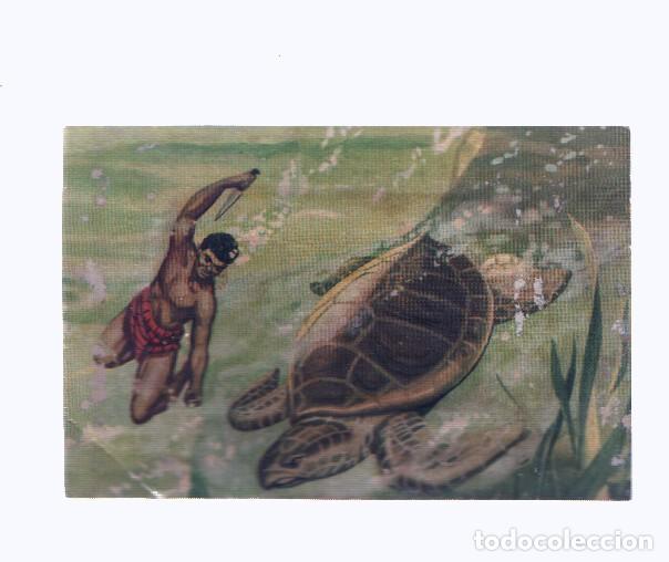 Coleccionismo deportivo: Cromos: de la Selva Misteriosa a los abismos del mar: numero 162: Caceria submarina