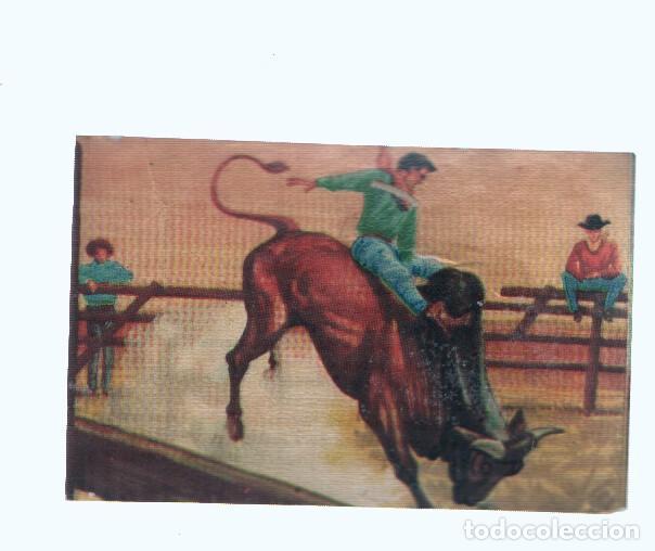 Coleccionismo deportivo: Cromos: de la Selva Misteriosa a los abismos del mar: numero 190: Domadores irresistibles