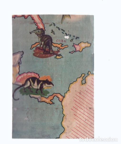 Coleccionismo deportivo: Cromos: de la Selva Misteriosa a los abismos del mar: numero 174: Mapa zoologico de America del Nort