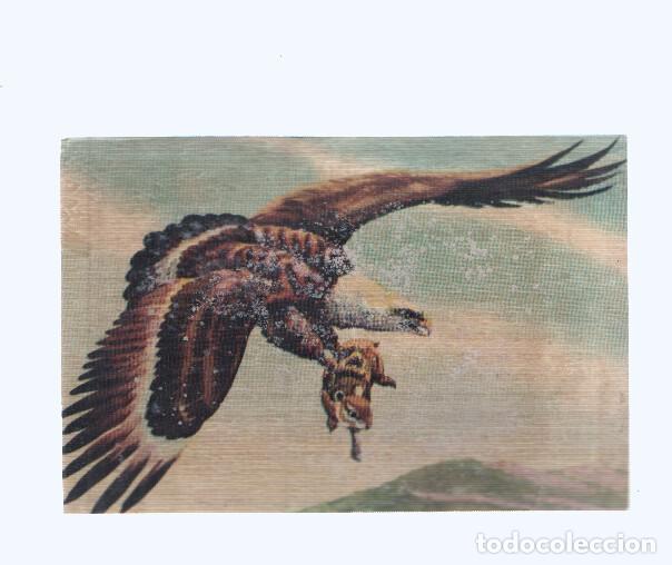 Coleccionismo deportivo: Cromos: de la Selva Misteriosa a los abismos del mar: numero 192: El rey del espacio