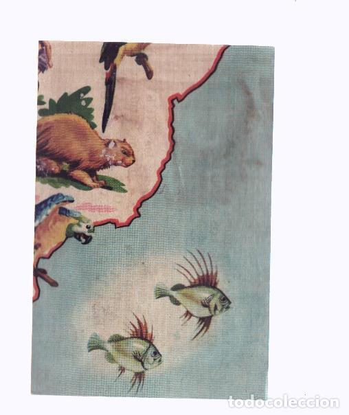 Coleccionismo deportivo: Cromos: de la Selva Misteriosa a los abismos del mar: numero 216: Mapa zoologico de America del Sur,