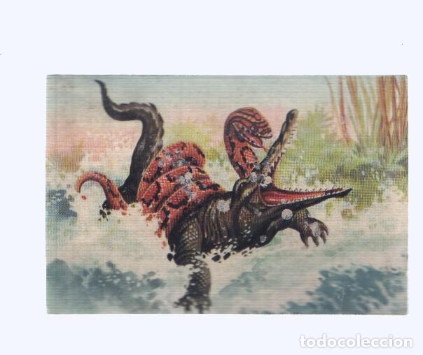 Coleccionismo deportivo: Cromos: de la Selva Misteriosa a los abismos del mar: numero 223: Segundos de vida